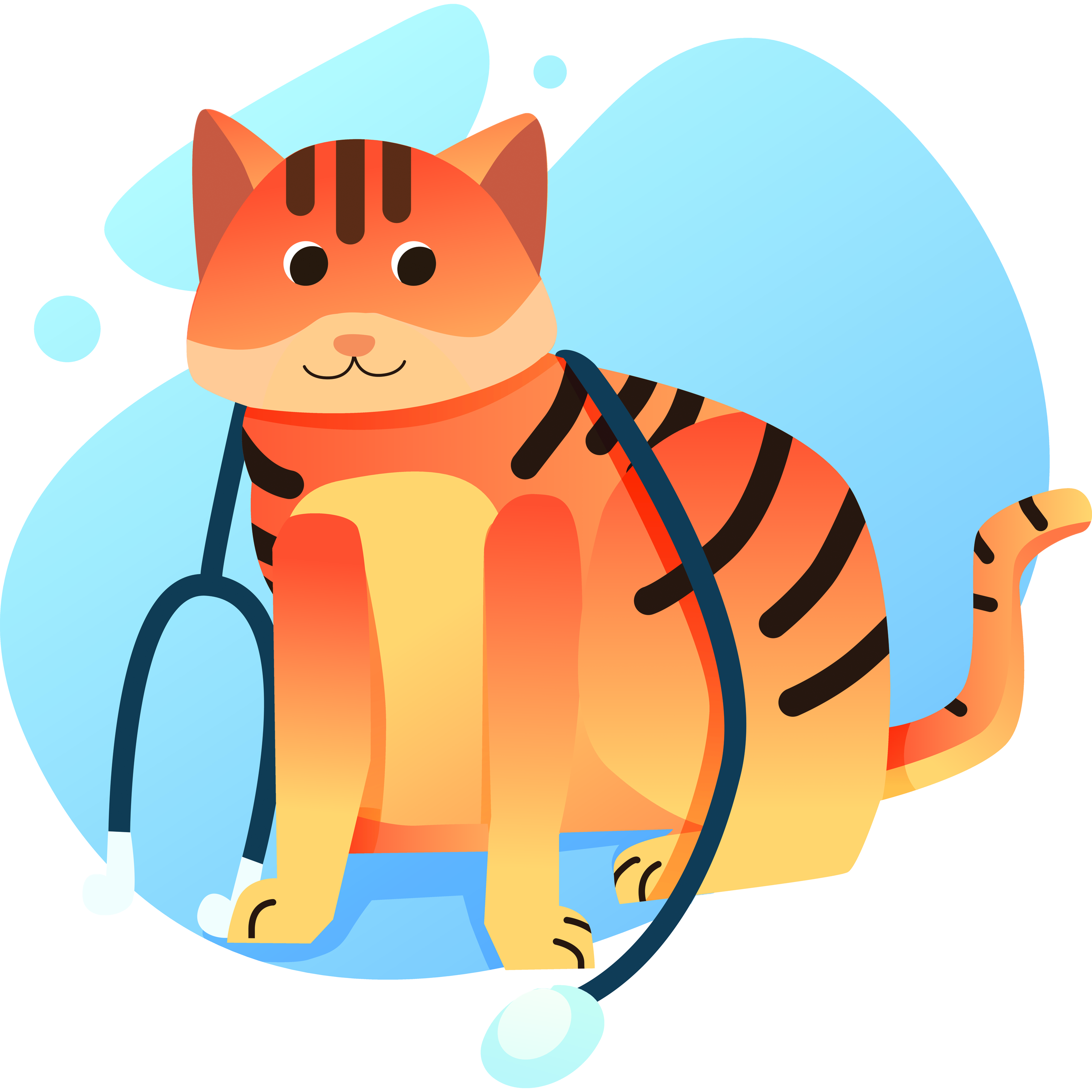 Illustration of a cat with stethoscope